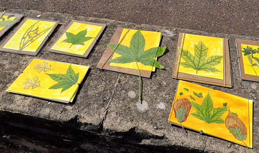 Green-Making Turmeric prints