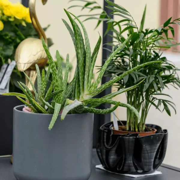 plant stand indoor tiered Bamworld 4 Tier Plant Stand Indoor Outdoor, Tall Metal Flower Pot Stan