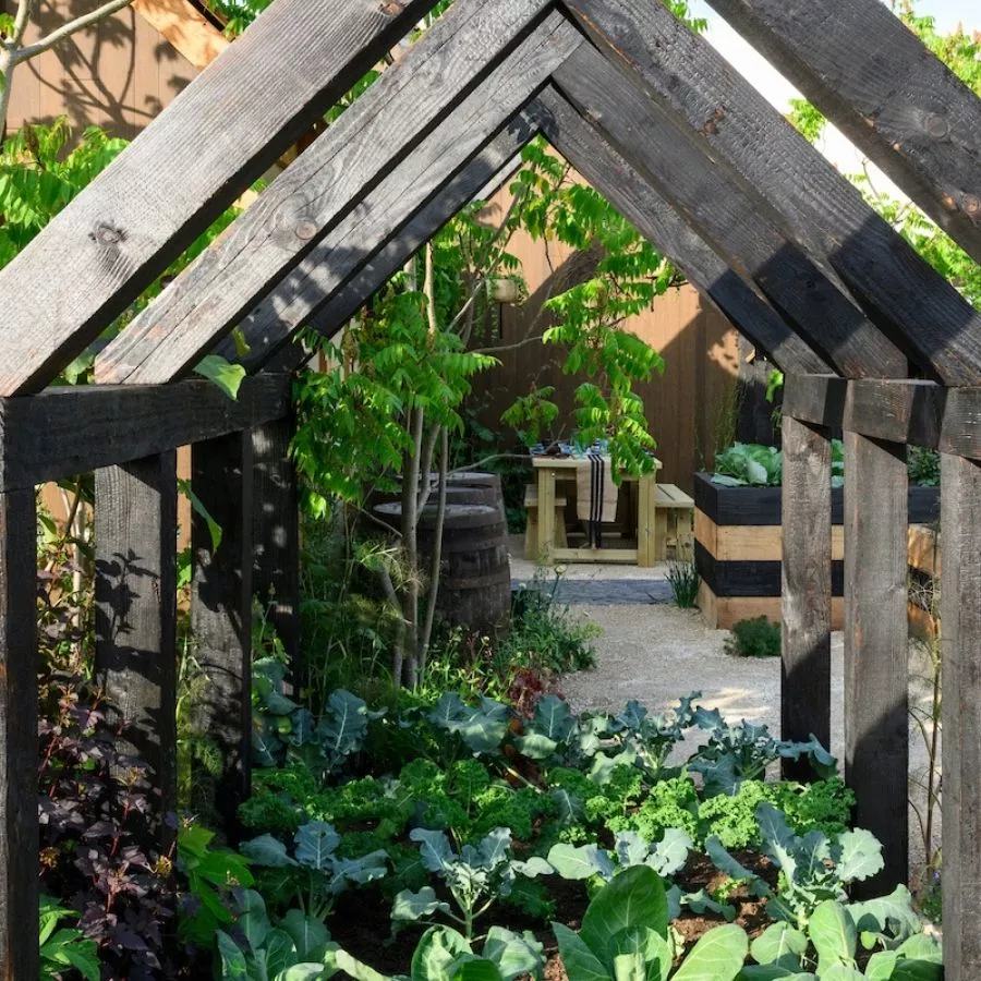 Nick Bailey's Plant Based Garden that made every metre matter