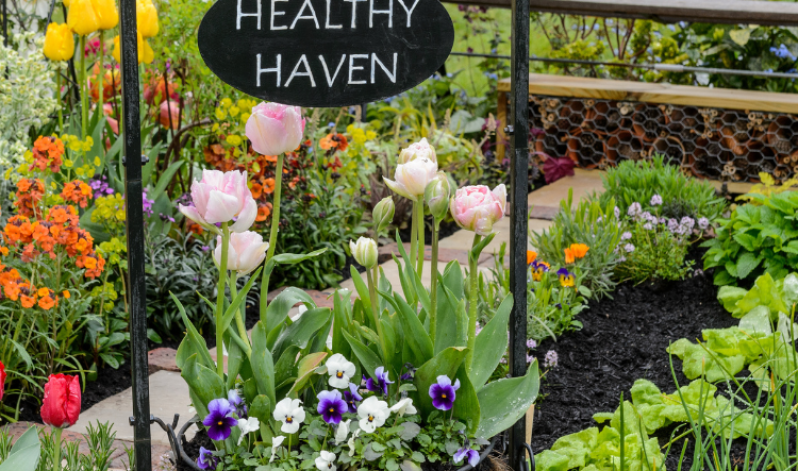 Healthy Haven Garden