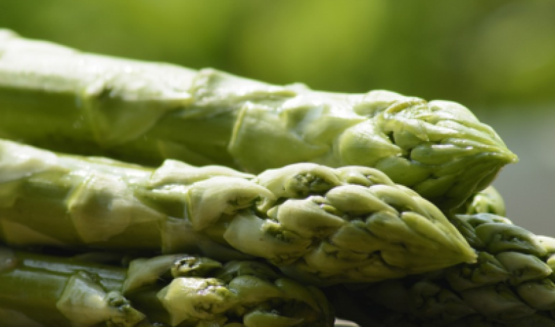 Time to grow: asparagus